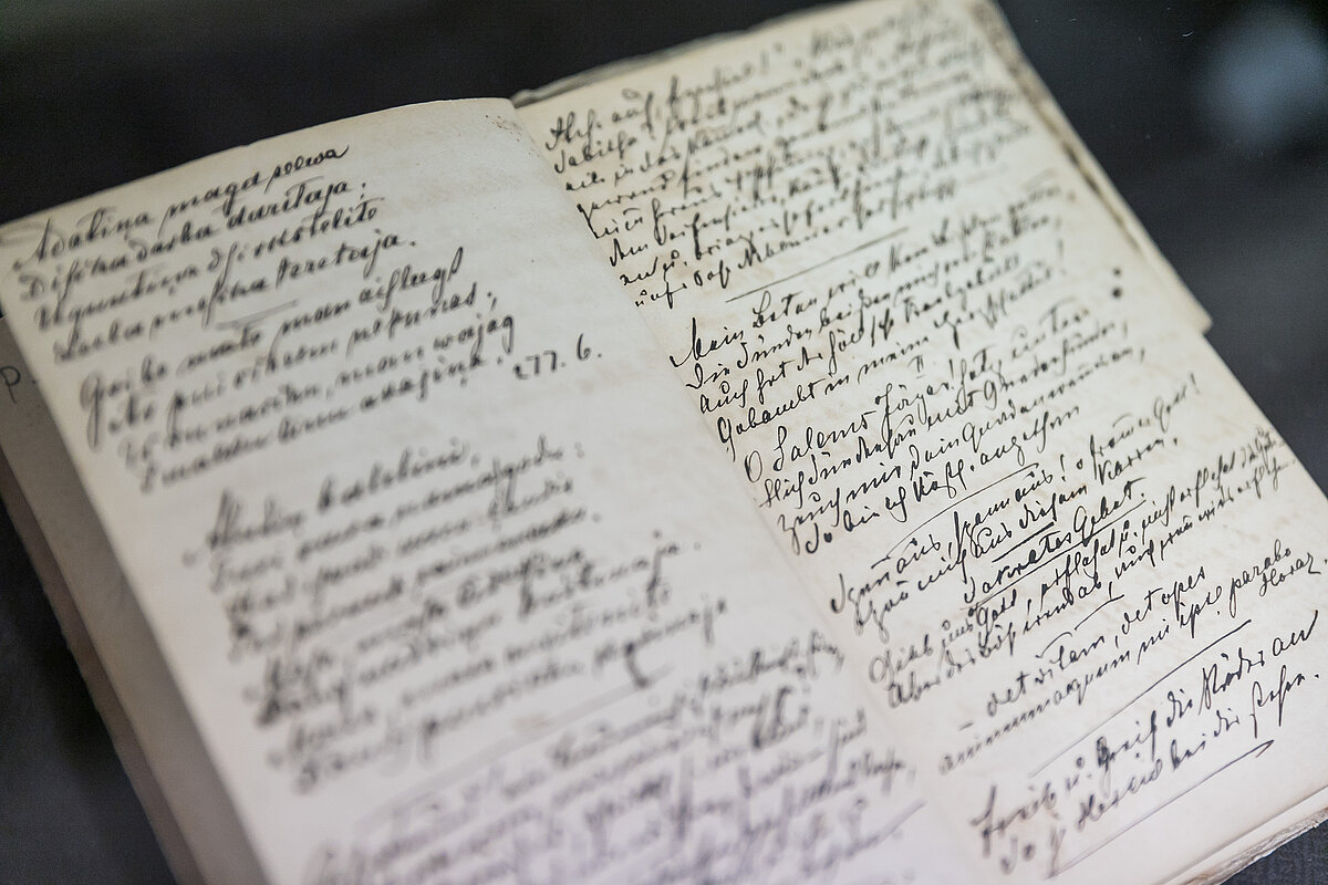 © Foto: Toms Grīnbergs, Latvijas Universitātes Komunikācijas departaments