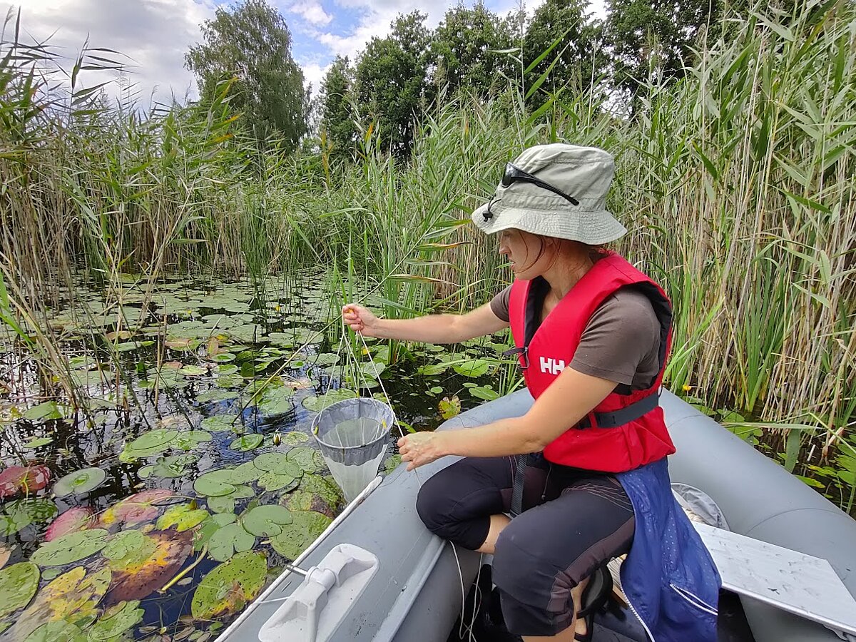 Bioloģijas institūta eksperte Inta Dimante-Deimantoviča ievāc zooplanktona paraugu.