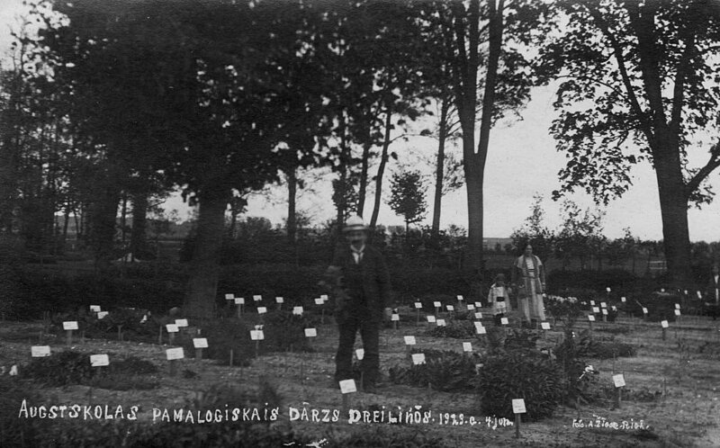 Botāniskais dārzs Dreiliņos, 1923. gads. 