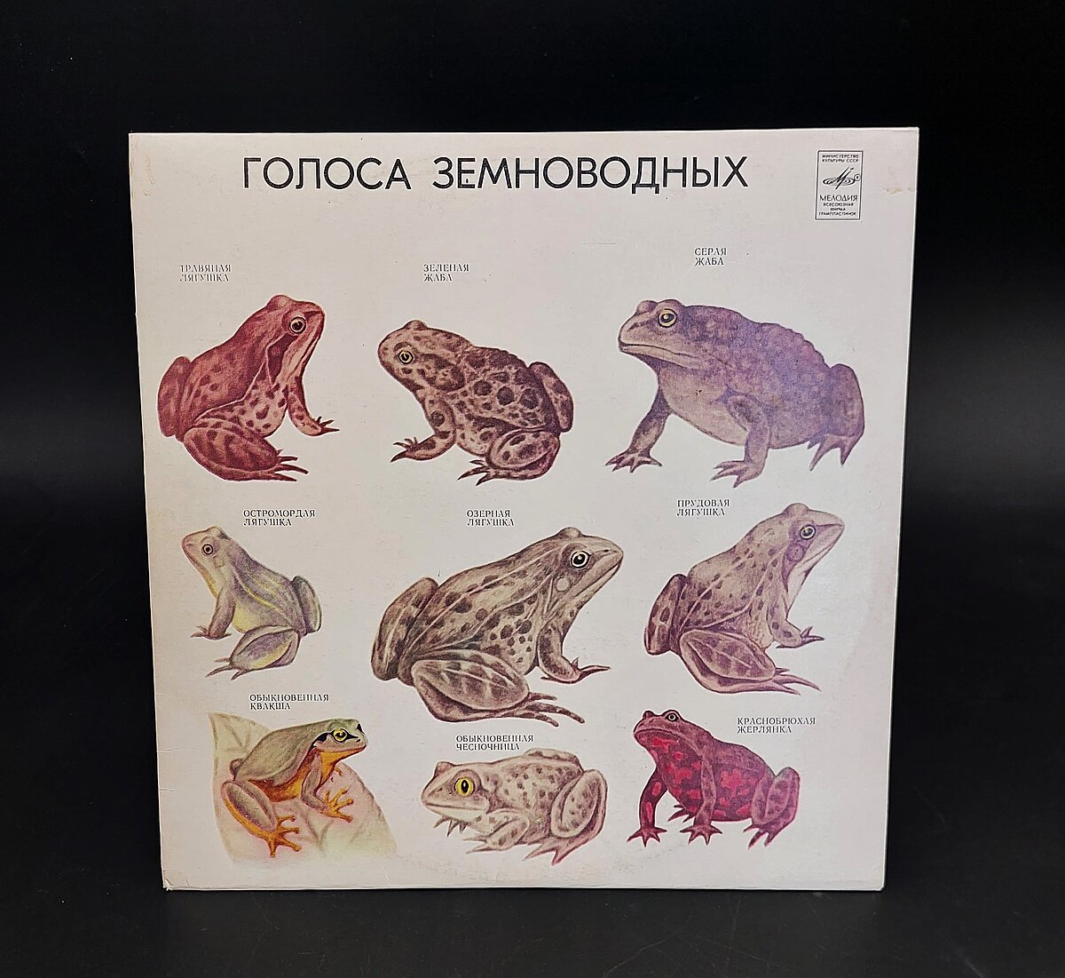 Skaņuplate “Abinieku balsis”. LU Muzeja krājums: ZOO2160/1-2 Skaņuplate “Abinieku balsis”. LU Muzeja krājums: ZOO2160/1-2
