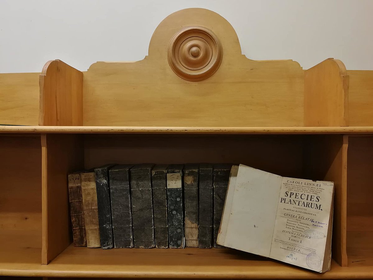 Caroli Linneai “Species Planetarium” pirmizdevums. Atvērts – pirmais, 1753. gadā izdotais sējums, aizmugurē – turpmākie sējumi, pēdējie tika izdoti jau pēc autora nāves. (Foto: D. Jamonte) Caroli Linneai “Species Planetarium” pirmizdevums. Atvērts – pirmais, 1753. gadā izdotais sējums, aizmugurē – turpmākie sējumi, pēdējie tika izdoti jau pēc autora nāves. (Foto: D. Jamonte)