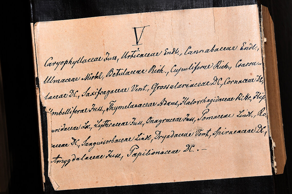J. Esera herbārija mapes uzraksts. Foto: S. Livdāne J. Esera herbārija mapes uzraksts. Foto: S. Livdāne