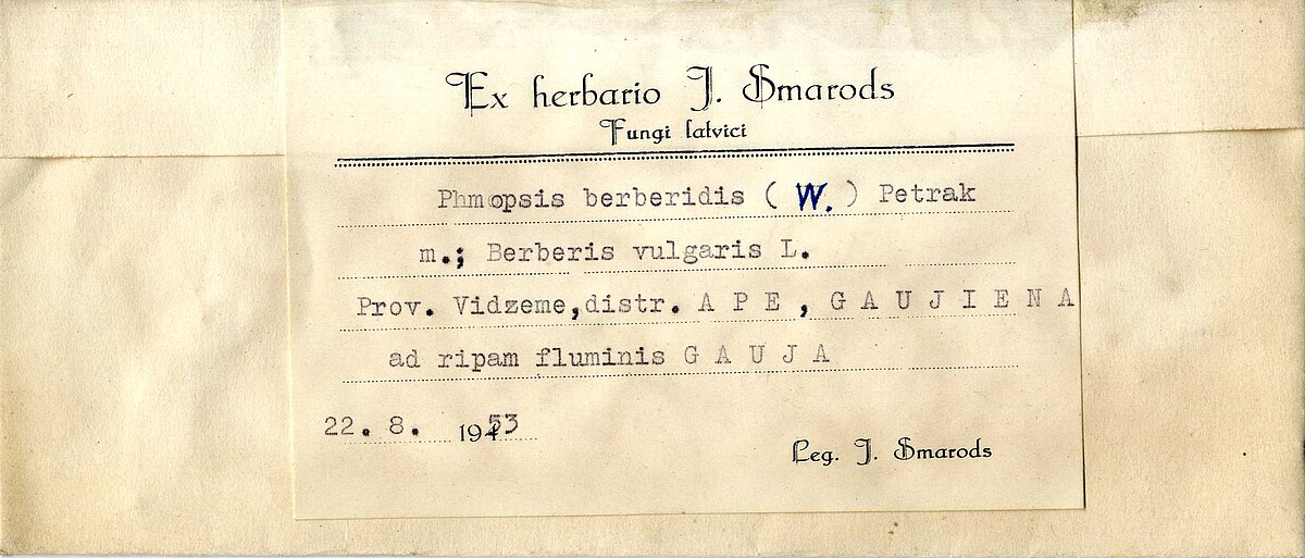 J. Smaroda herbārija etiķete uz mikrosēņu parauga konverta. BOT16911 J. Smaroda herbārija etiķete uz mikrosēņu parauga konverta. BOT16911
