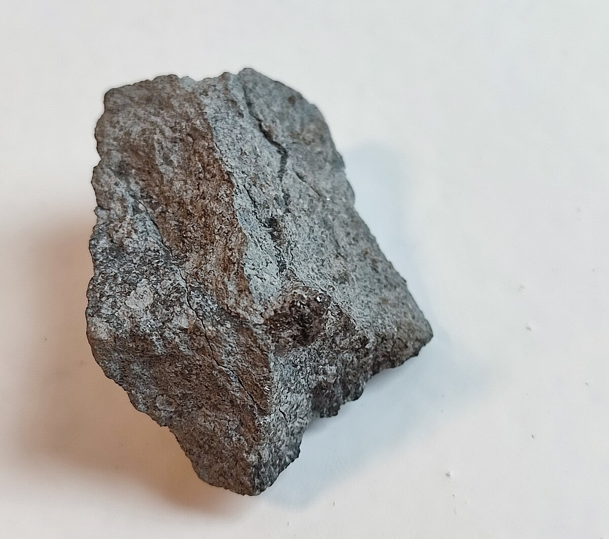 Meteorīts Knjaginja Latvijas Universitātes Muzeja kolekcijā. Foto: Gunta Vilka Meteorīts Knjaginja Latvijas Universitātes Muzeja kolekcijā. Foto: Gunta Vilka