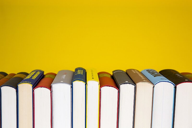 Licencē jauno studiju programmu pieaugušajiem "Latviešu valodas kā svešvalodas skolotājs"