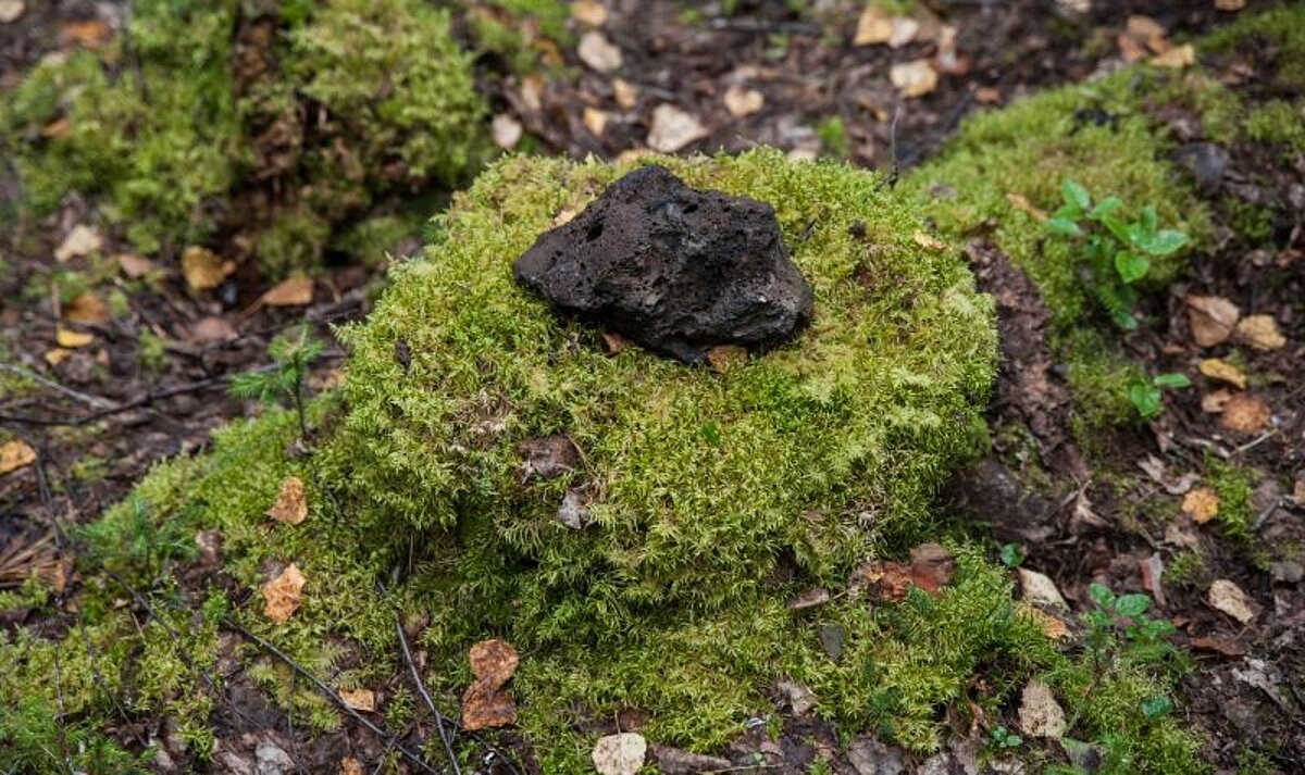 Meteorīta mulāža Tabori ciema apkārtnē Meteorīta mulāža Tabori ciema apkārtnē