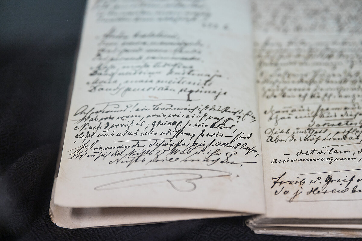 © Foto: Toms Grīnbergs, Latvijas Universitātes Komunikācijas departaments