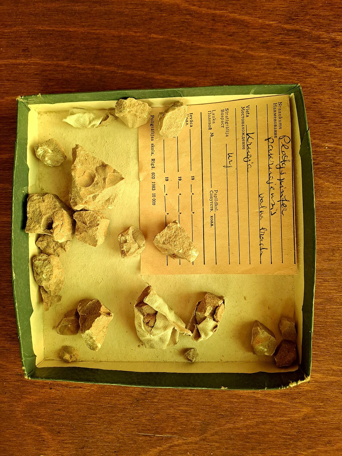 V. Grāvīša ievākts paleontoloģiskais materiāls: kartona kastīte ar pleckāja "Platyspirifer pakruojensis" fosīlijām; daži gabali salīmēti kopā ar leikoplastu V. Grāvīša ievākts paleontoloģiskais materiāls: kartona kastīte ar pleckāja "Platyspirifer pakruojensis" fosīlijām; daži gabali salīmēti kopā ar leikoplastu