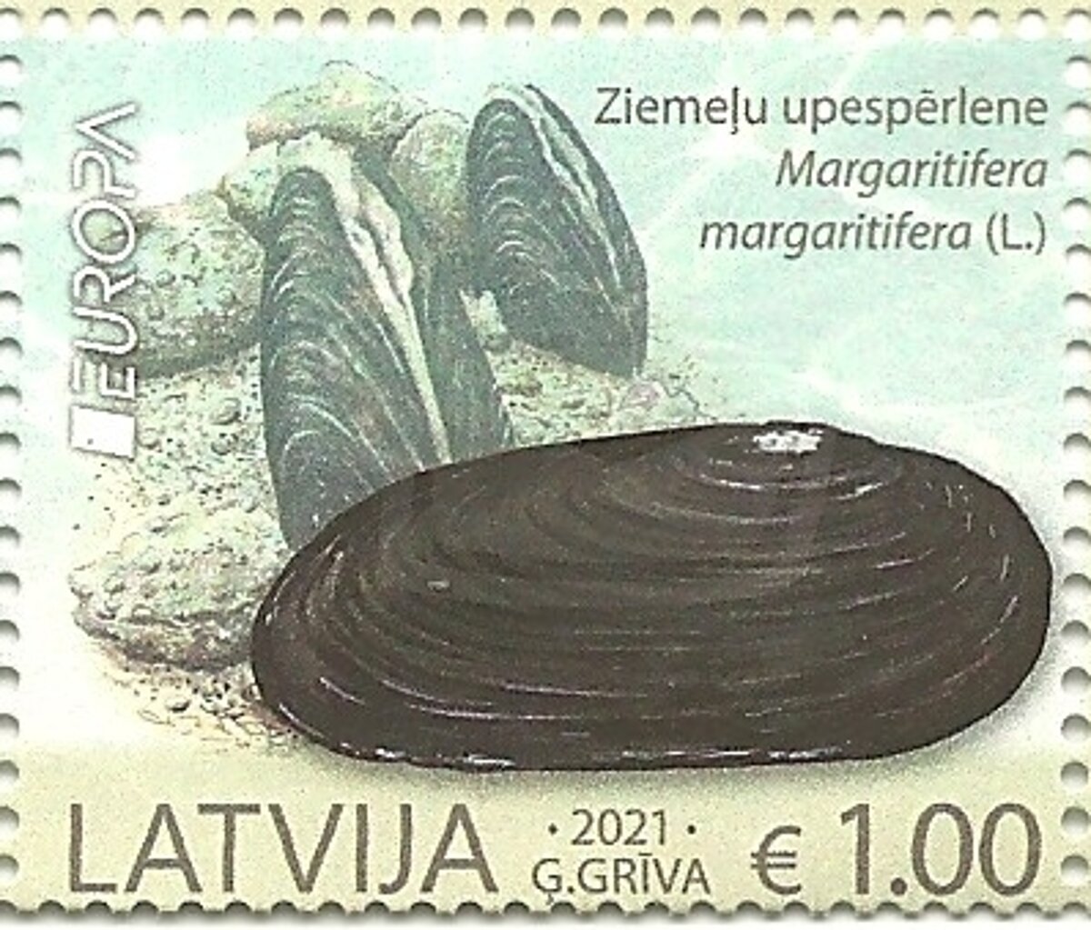 2021. gadā Latvijas Pasts laida klajā pastmarku ar ziemeļu upespērlenes attēlu. 2021. gadā Latvijas Pasts laida klajā pastmarku ar ziemeļu upespērlenes attēlu.